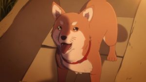犬