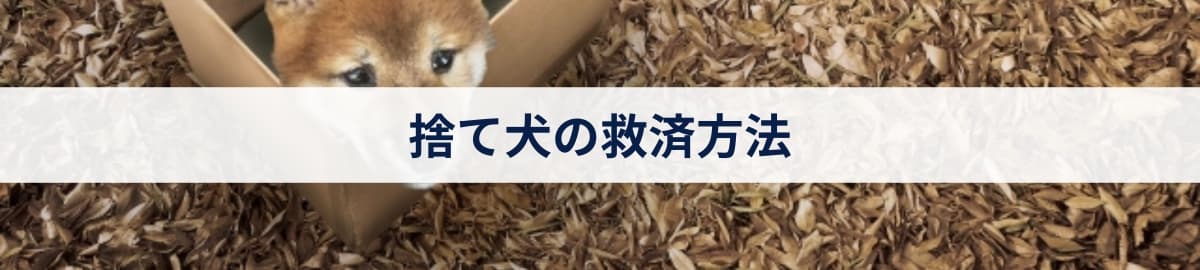 捨て犬の救済方法